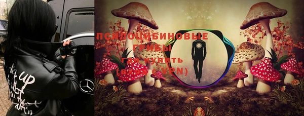 прущий лед Алексин