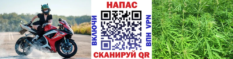 Марихуана Bruce Banner  Кизел 
